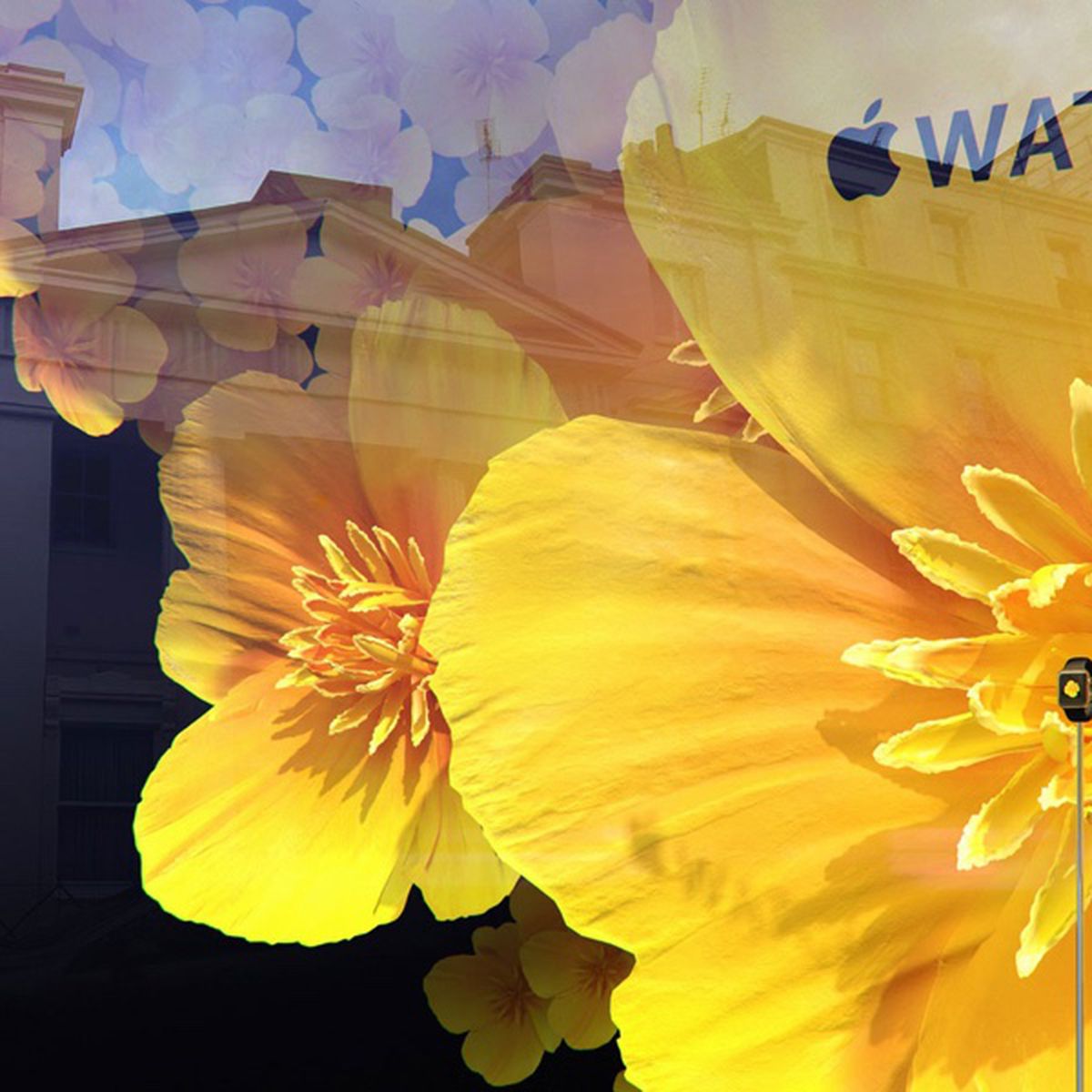 Apple Creates Massive Floral Window Installation at Selfridges to