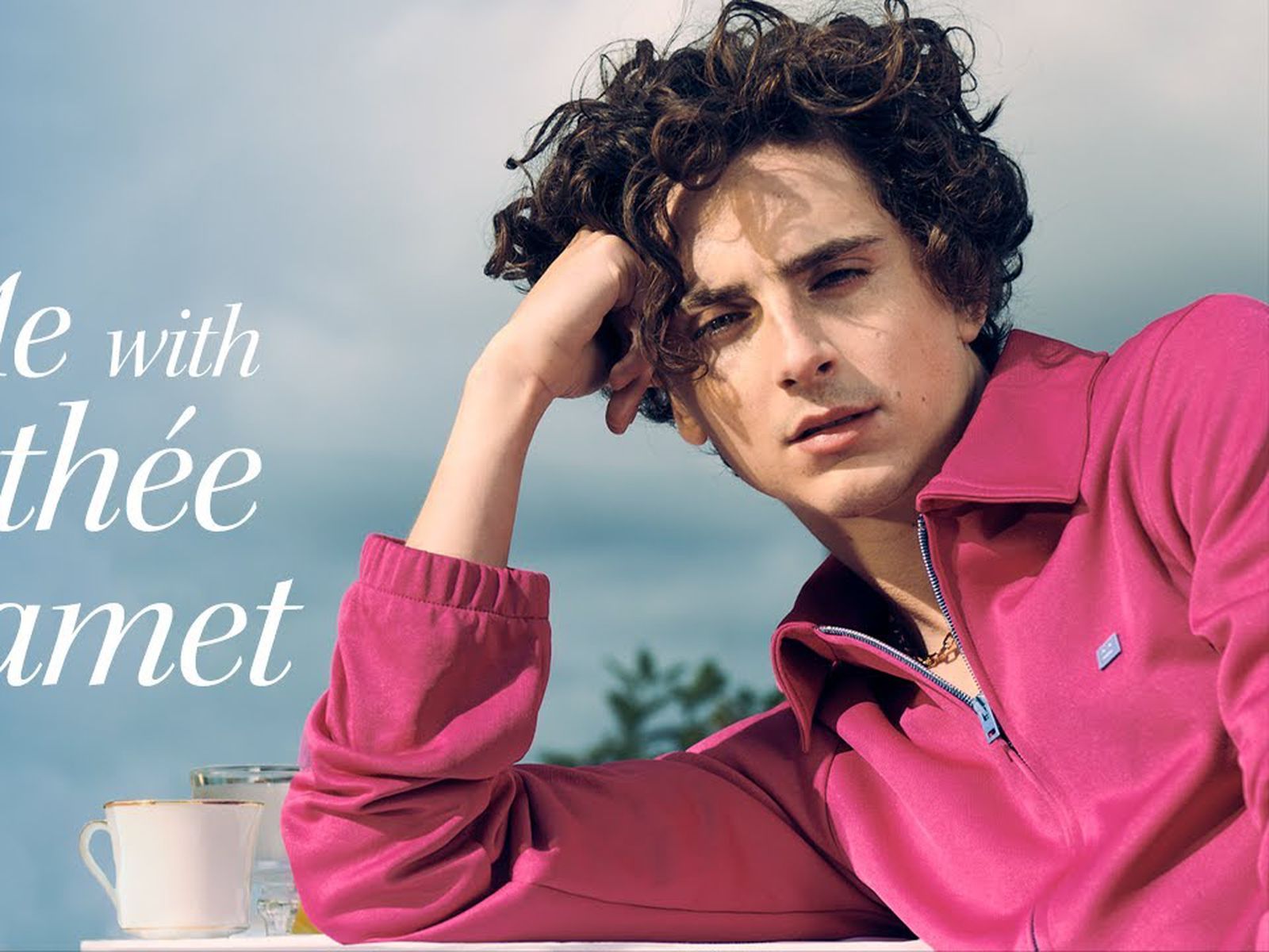 Timothée Chalamet Wants to Star on Apple TV+ in New Ad for Streaming  Service - MacRumors