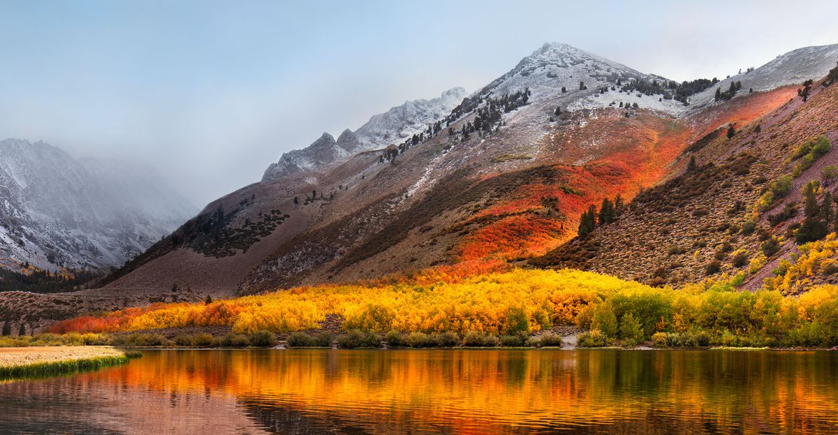 apple seeds first beta of macos high sierra image