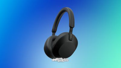 sony headphones snow