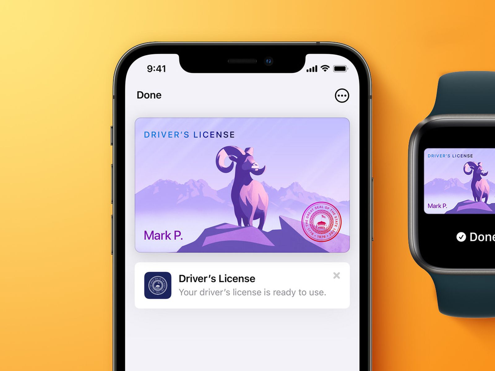 Should Your Driver's License Be on Your Apple Watch?