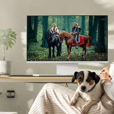 samsung dog