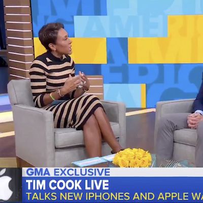 tim cook gma image