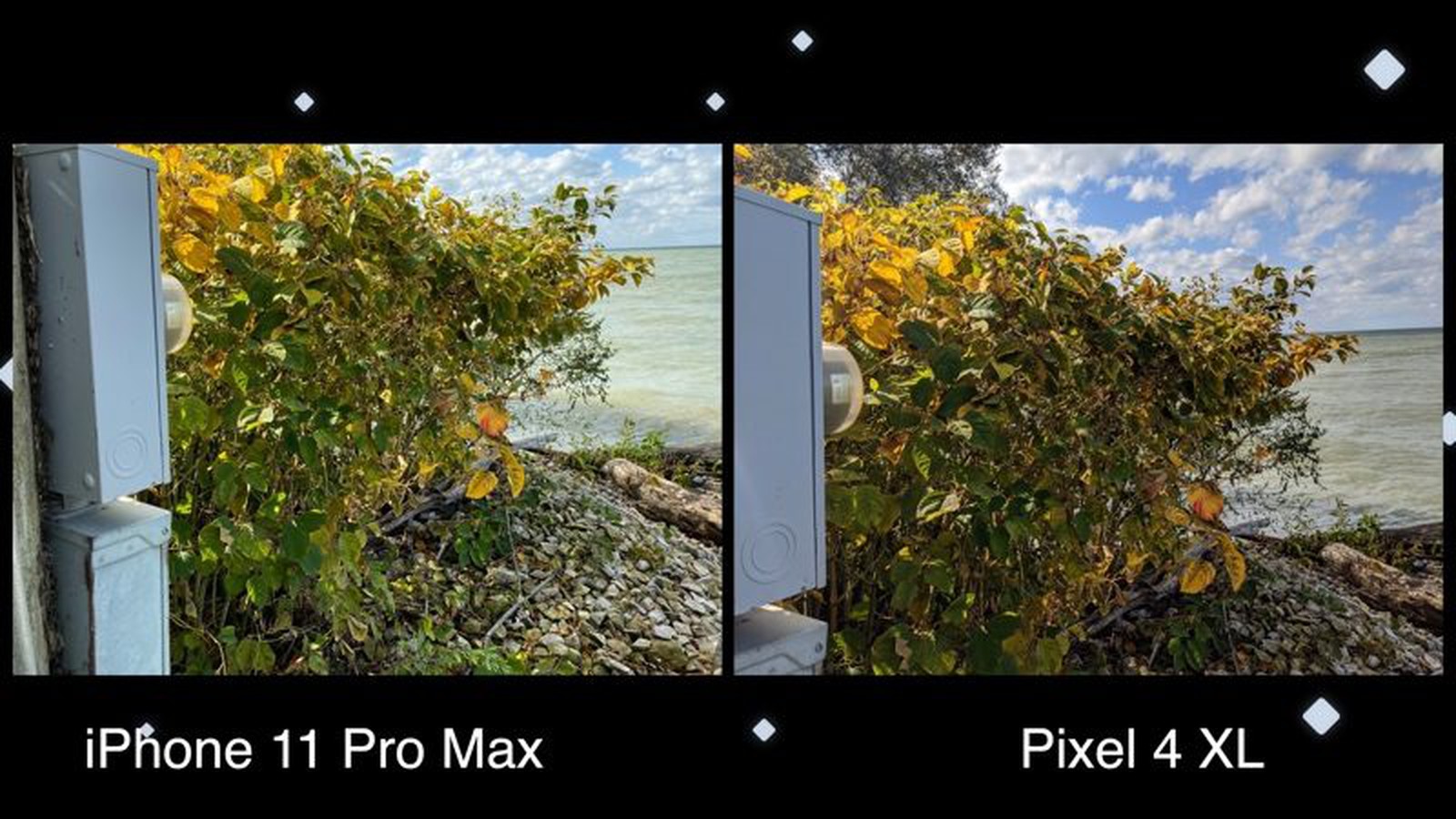Camera Comparison: Google Pixel 4XL vs. iPhone 11 Pro Max - MacRumors