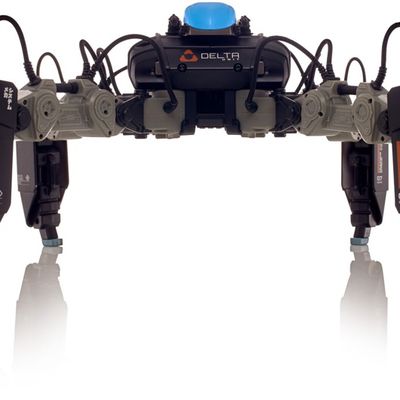 MacRumors content image