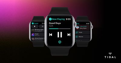 apple watch tidal