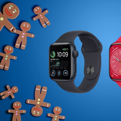 apple watches gingerbread blue