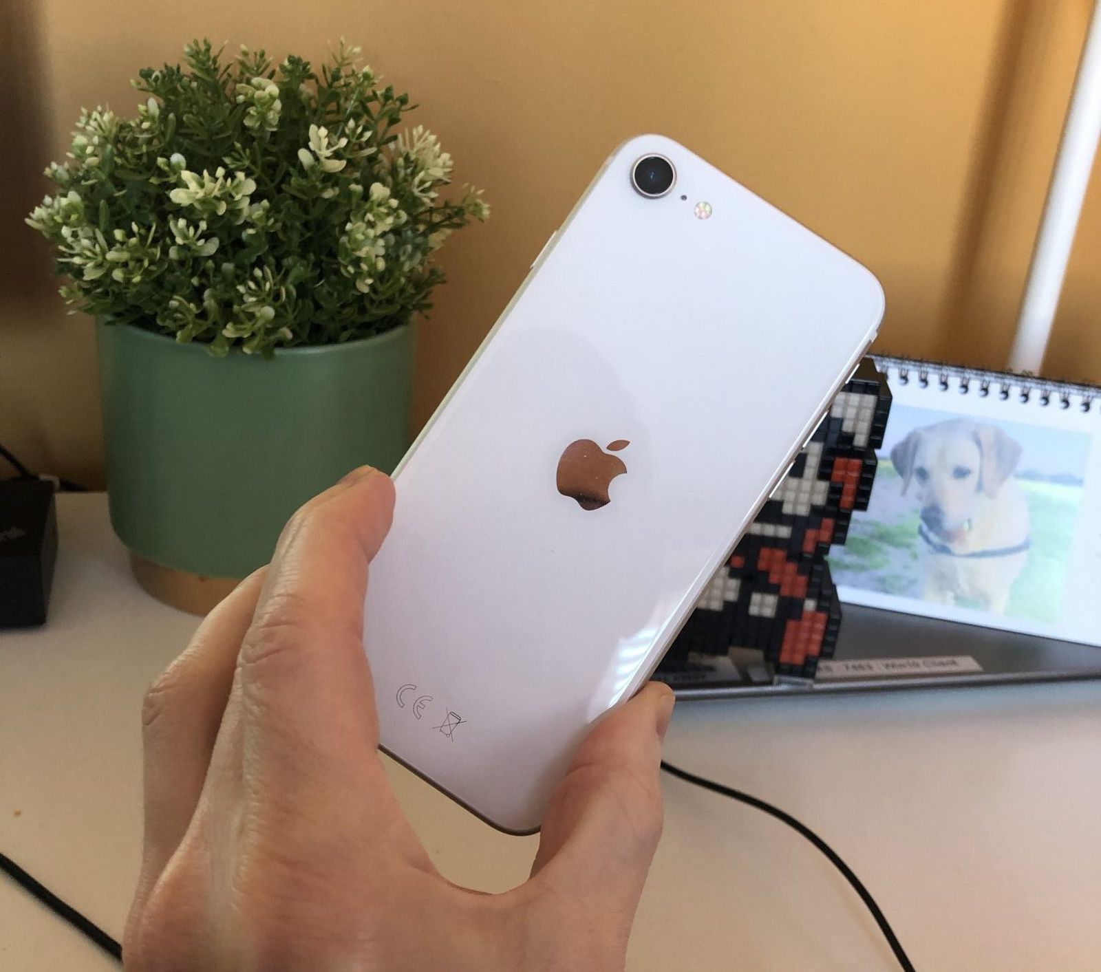 Где Купить Iphone Se