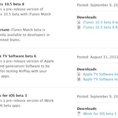 itunes 10 5 beta 8