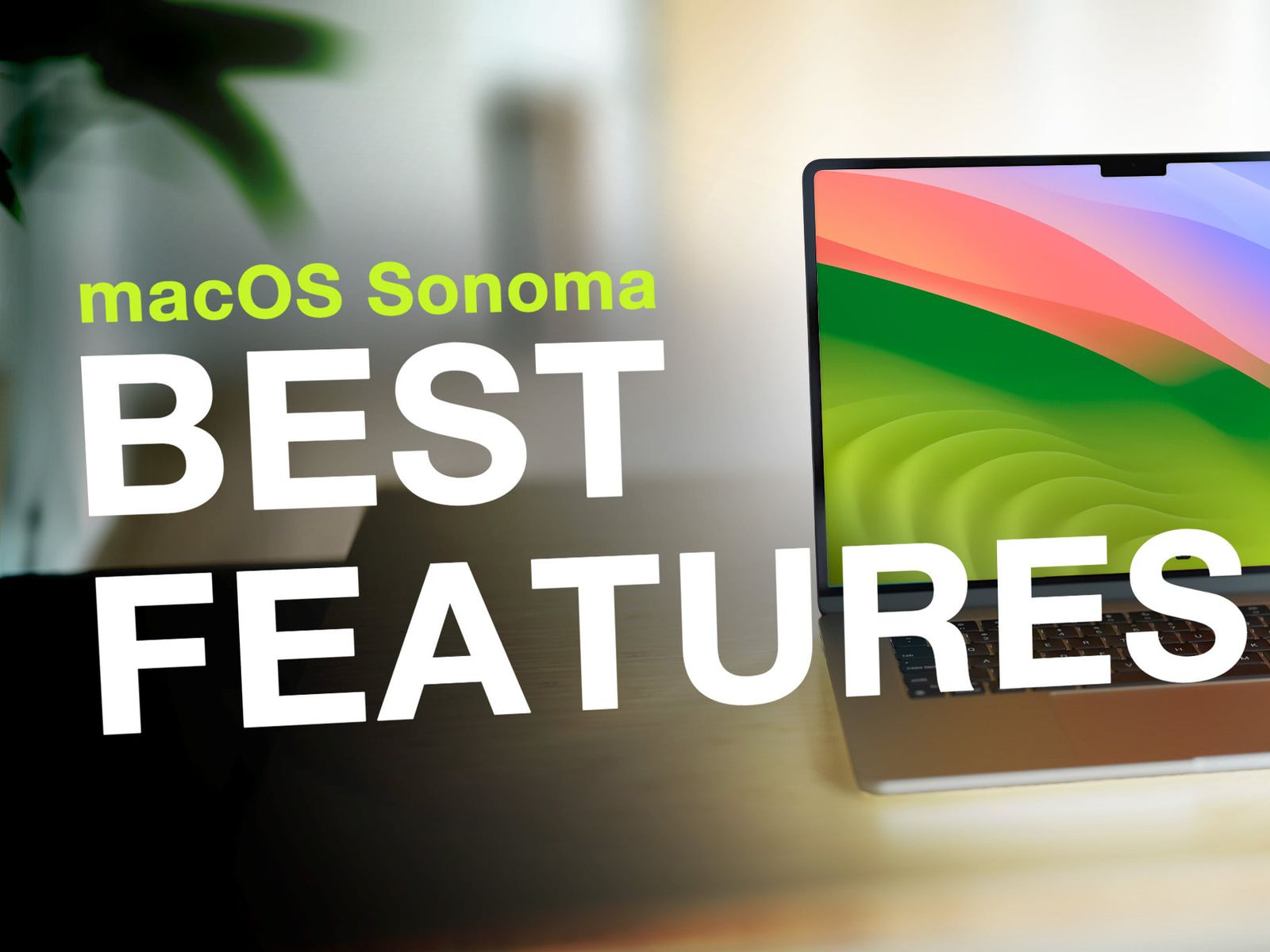 macOS Sonoma Features You Should Check Out First - MacRumors