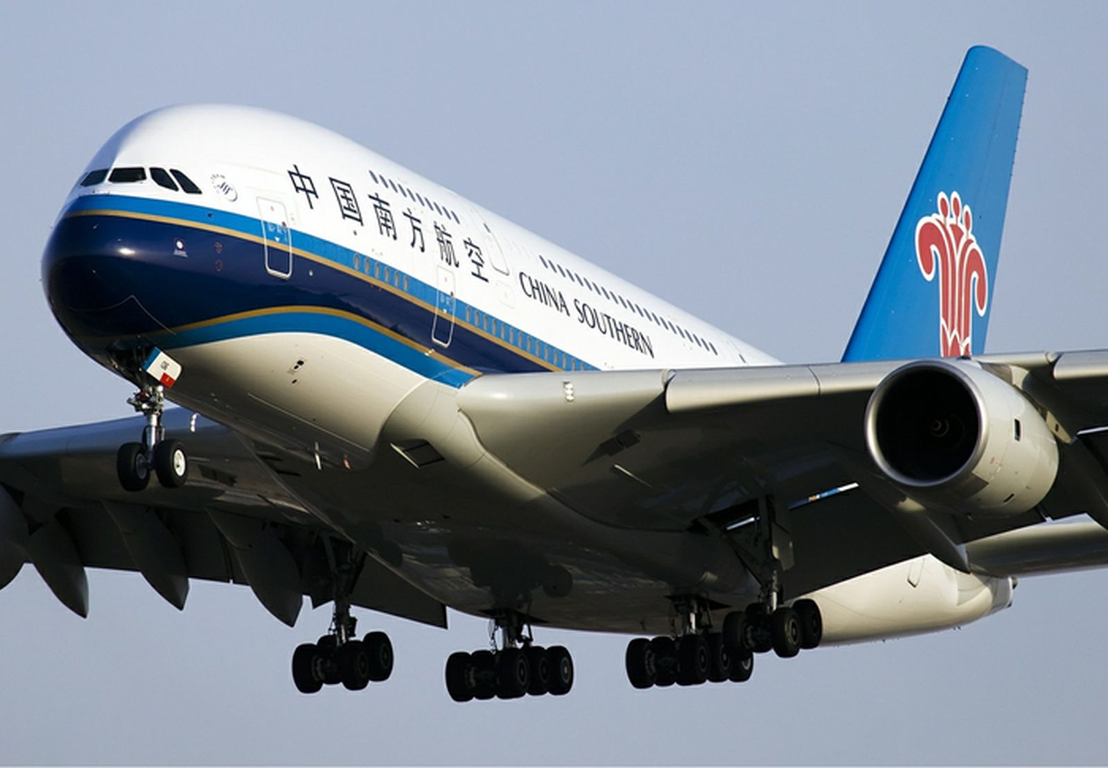 China southern. Авиакомпания Чайна Саузерн. Китайская авиакомпания China Southern Airlines. China Southern Airlines самолеты. Чайна Саузерн Эйрлайнс самолеты.