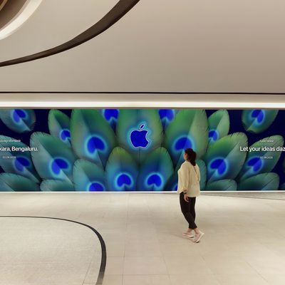 apple hebbal