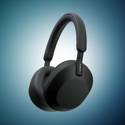 sony headphones blue