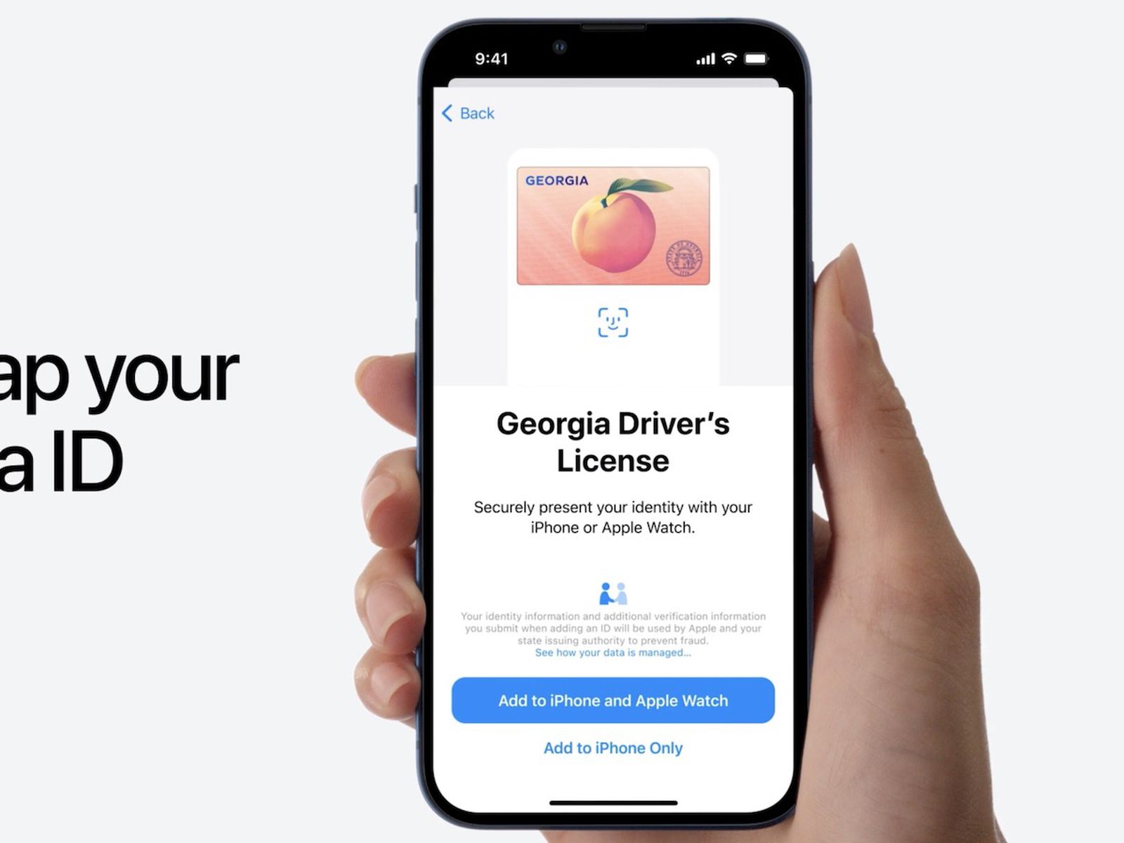 Add your driver's license or state ID to Apple Wallet - Apple Support