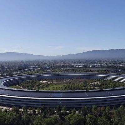 apple park 416 security