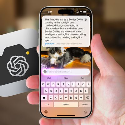 Visual Intelligence Feature