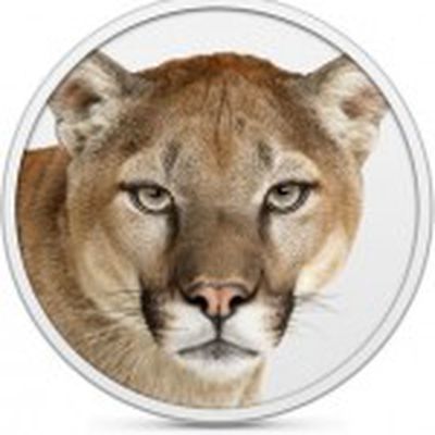 mountain lion icon1