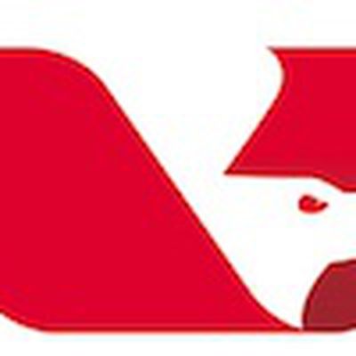 omnivision logo