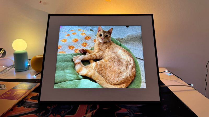 Aura Walden Review - MacRumors