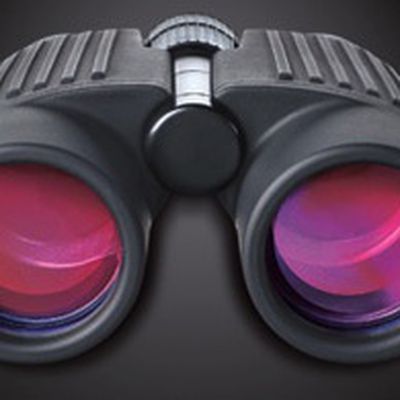 MacRumors content image