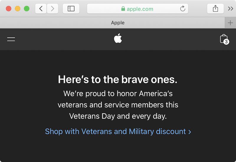 What is veterans day article for kids