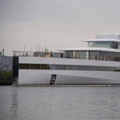 jobs yacht venus