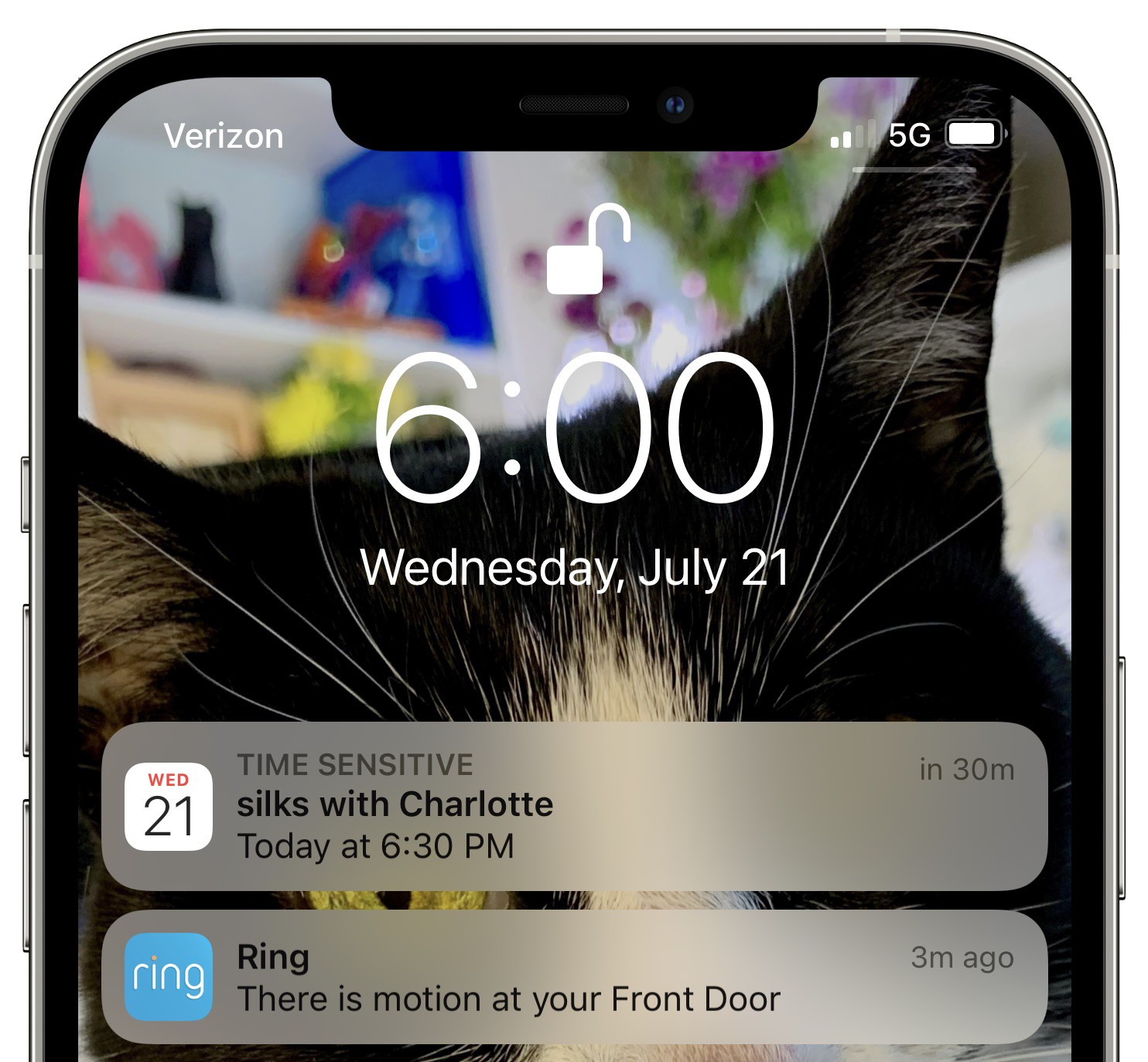 iOS 15 How to Allow Time Sensitive Notifications to Bypass Focus Mode