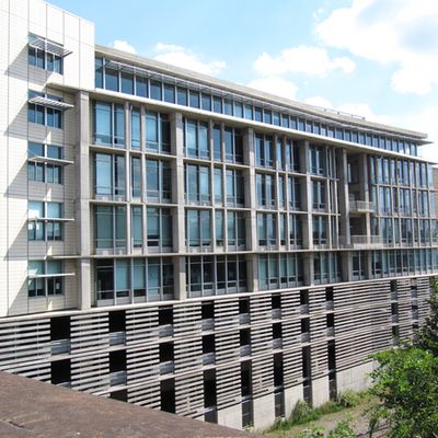 MacRumors content image