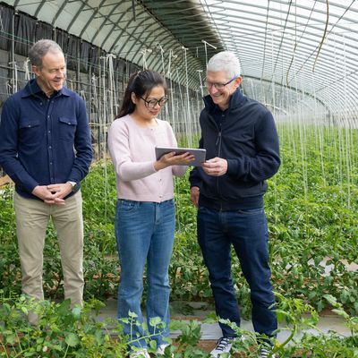 tim cook jeff williams china