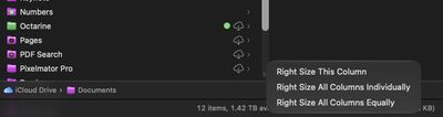 finder column resizing macos 27