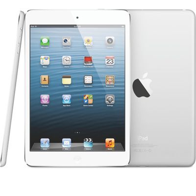 ipadmini1