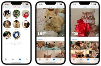 iOS 17 фотографии домашних животных