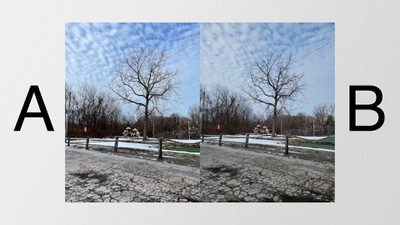 Blind Camera Comparison Video Iphone 12 Pro Max Vs Samsung Galaxy S21 Ultra Macrumors