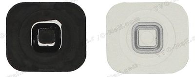 iphone 5 home buttons back