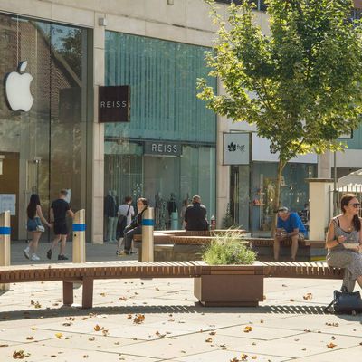 Apple Bristol Current