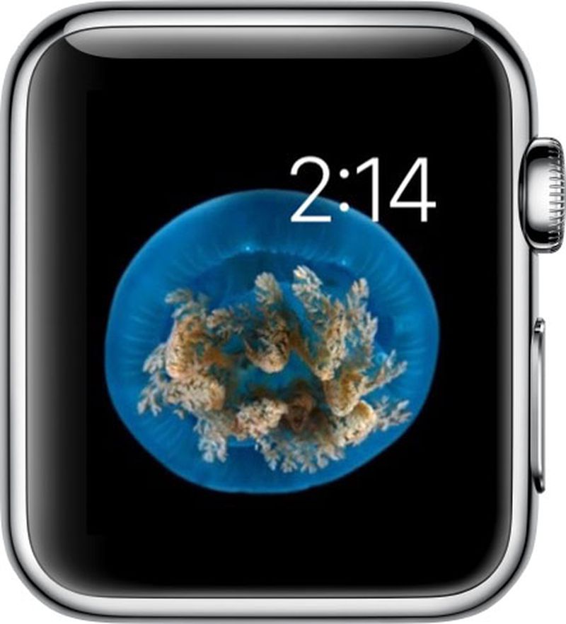 Watch Face on Apple Watch