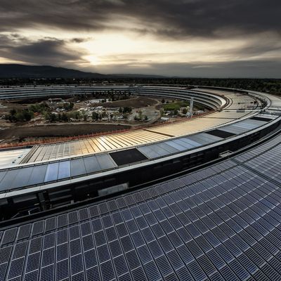 apple park skyline