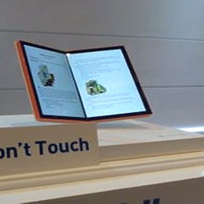 lg folding display