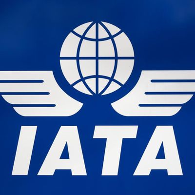 iata airline body