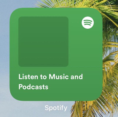 Spotify Developing iOS 14 Widgets in Latest Beta