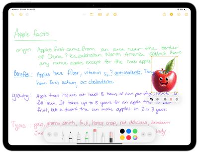 image wand resizing