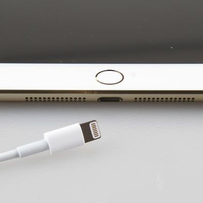 gold ipad mini 2 touch id