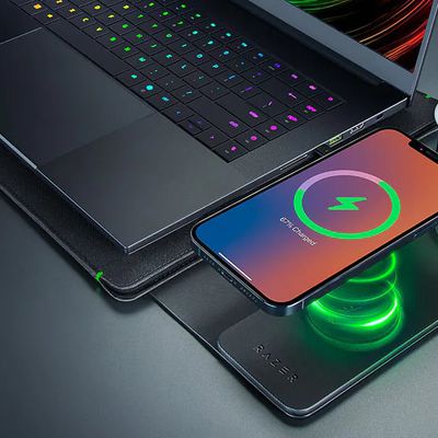 razer laptop sleeve 1