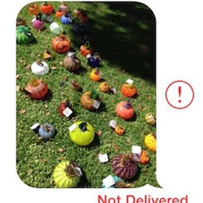 imessage not delivered crop