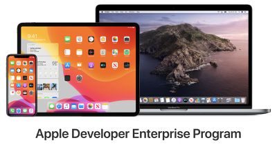 apple enterprise dev program