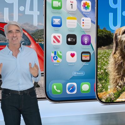 Craig Federighi WWDC 2025