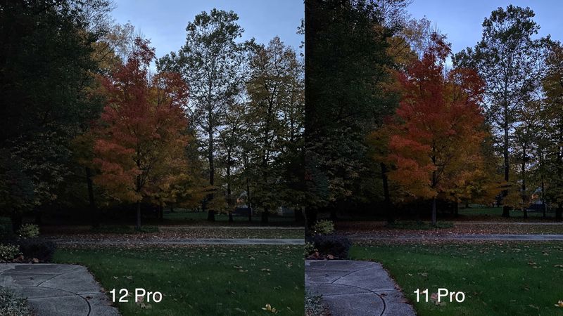 Camera Comparison: iPhone 12 Pro vs. iPhone 11 Pro - MacRumors