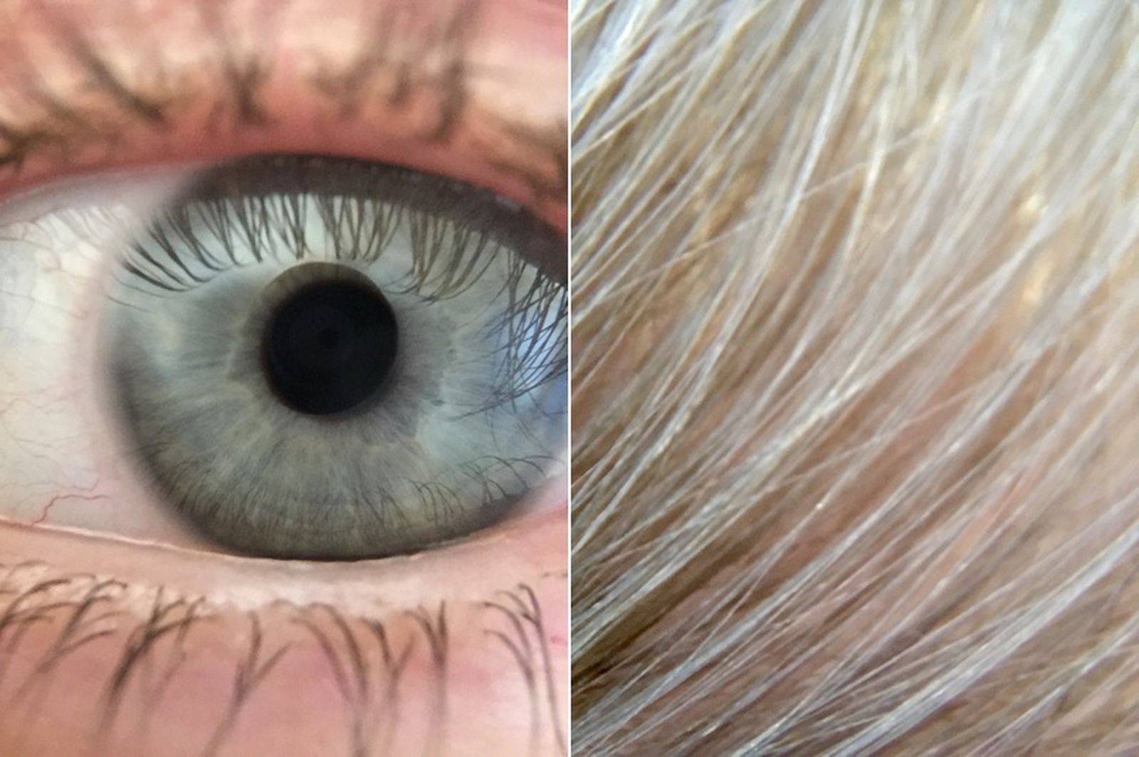 HandsOn With Olloclip's New Telephoto/Polarizing and Macro 3in1 Lenses for iPhone 6 and 6