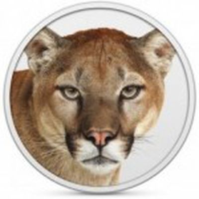 mountain lion icon