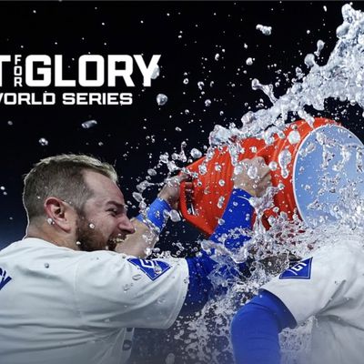 baseball fight for glory